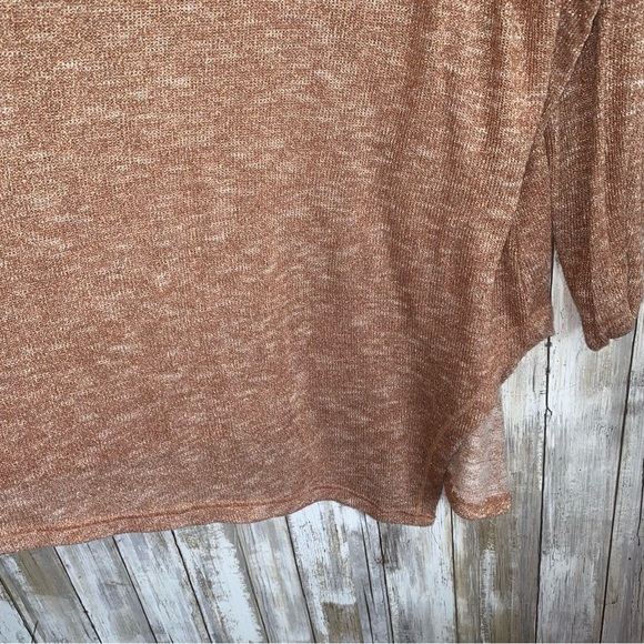 Lane Bryant Tan Metallic Shimmer Blouse - Picture 3 of 5
